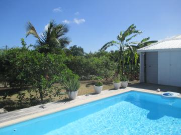 piscine---copie